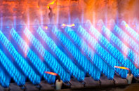 Talsarn gas fired boilers